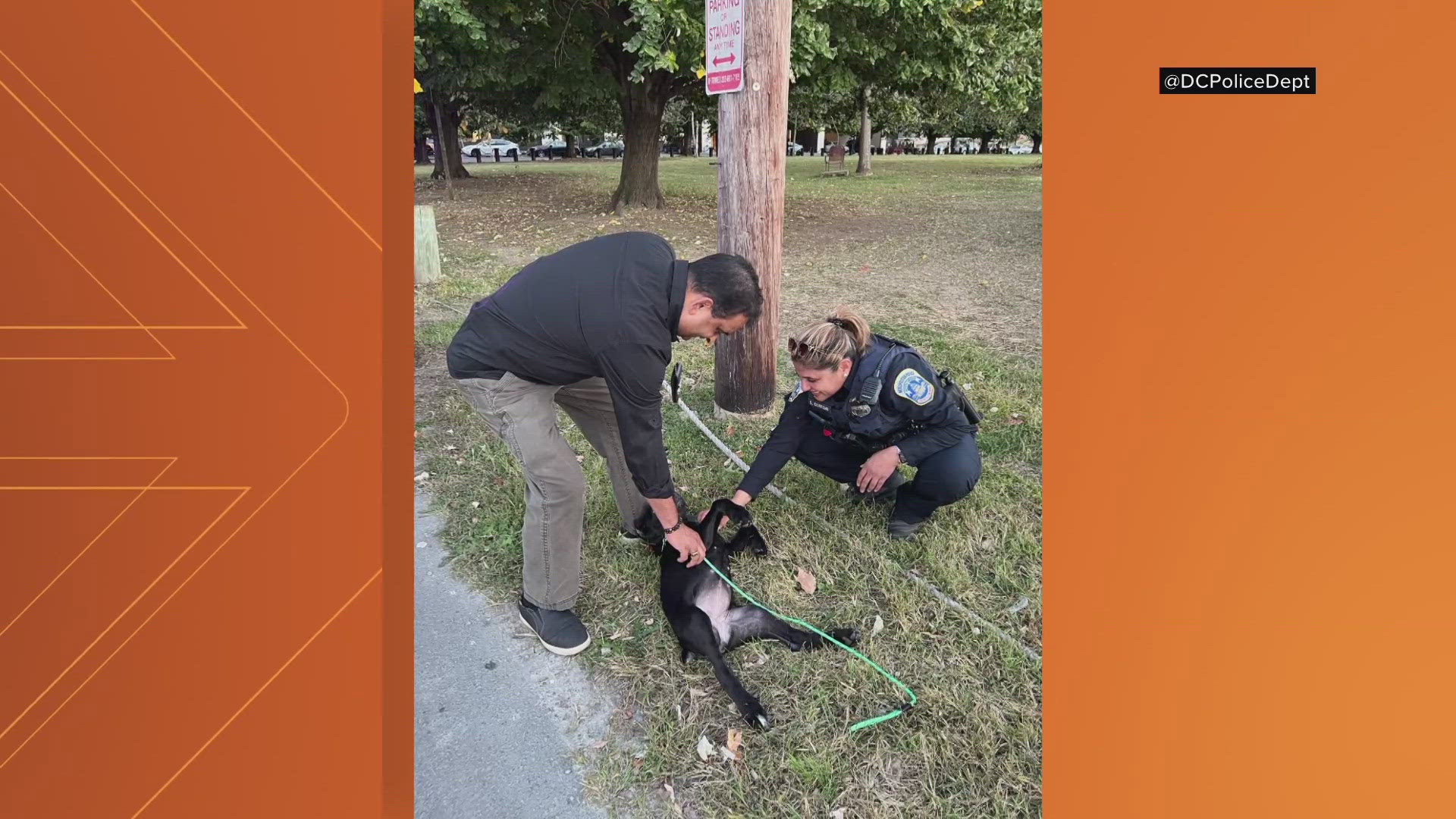 The puppy was stolen from a boat in Southeast, D.C.