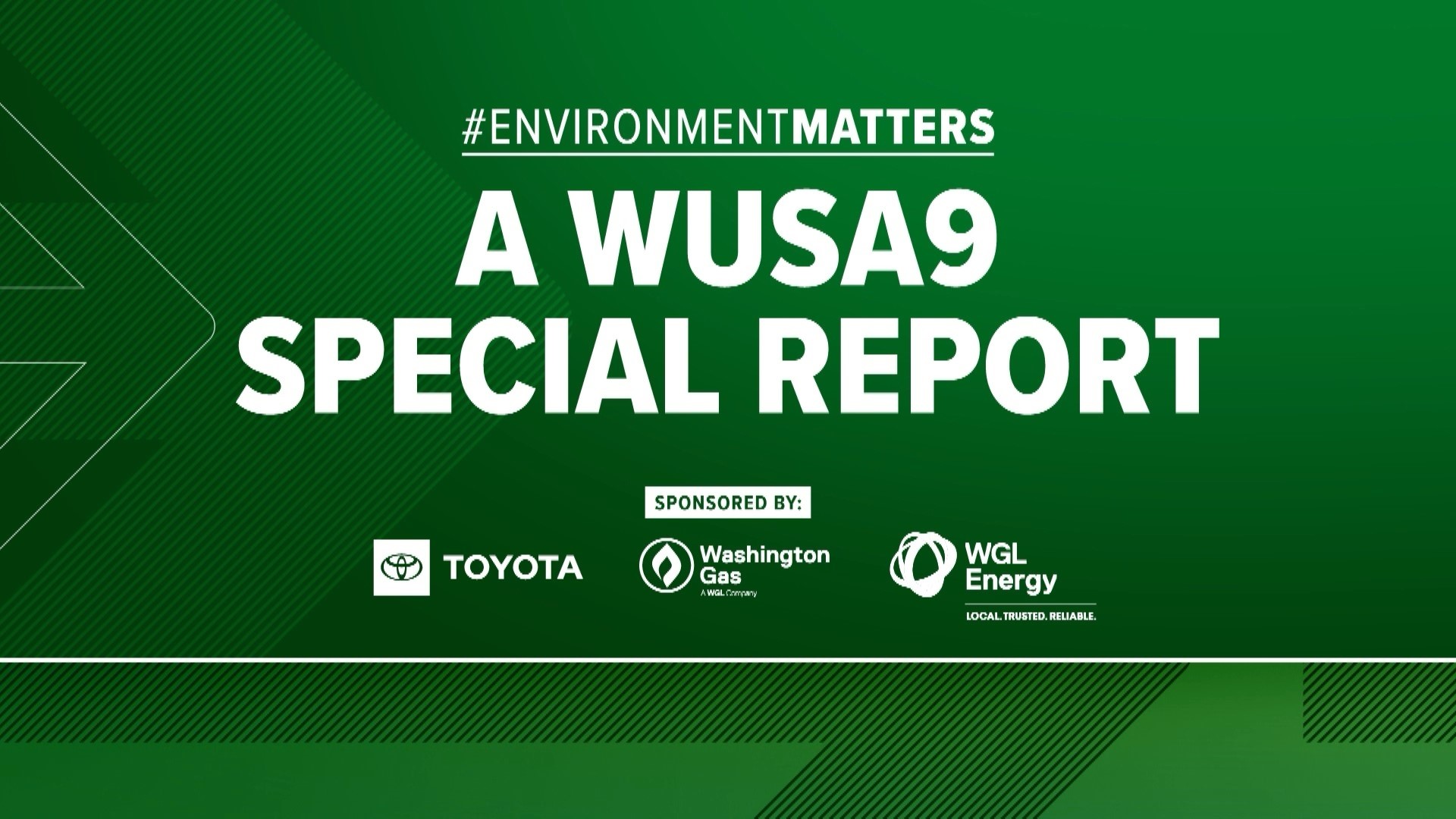 WUSA9 takes a deep dive into the environmental challenges our region faces, and ways our neighbors are working to make positive change.
