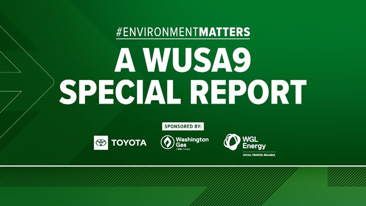 Environment Matters: A WUSA9 Special Report
