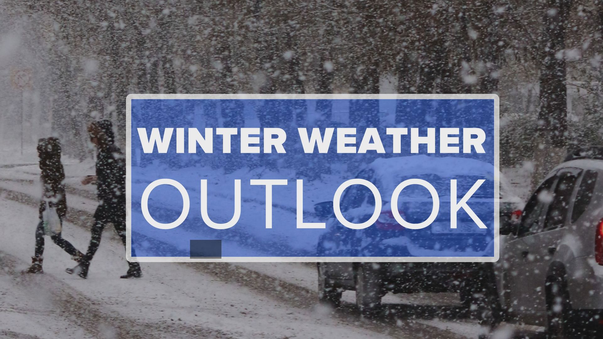 How much snow will we get, and when will it begin? How do schools decide whether to close? We answer all these questions and more in this winter weather special.