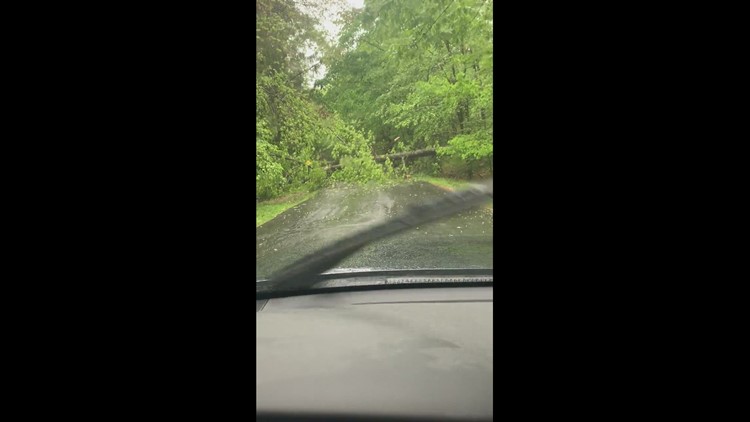 Tree falls down on Piney Glen Lane in Potomac, MD