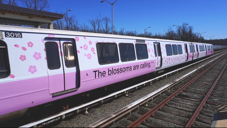 Metro debuts Cherry Blossom trains and busses in DC