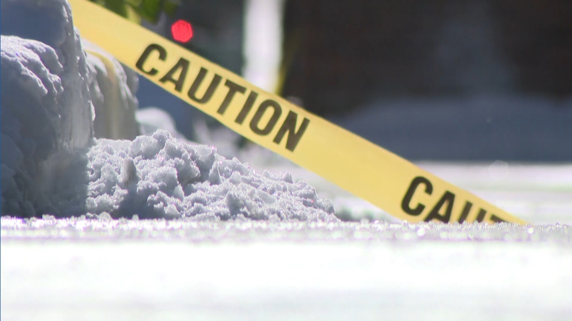 Expert weighs in on keeping dogs safe on DC sidewalks