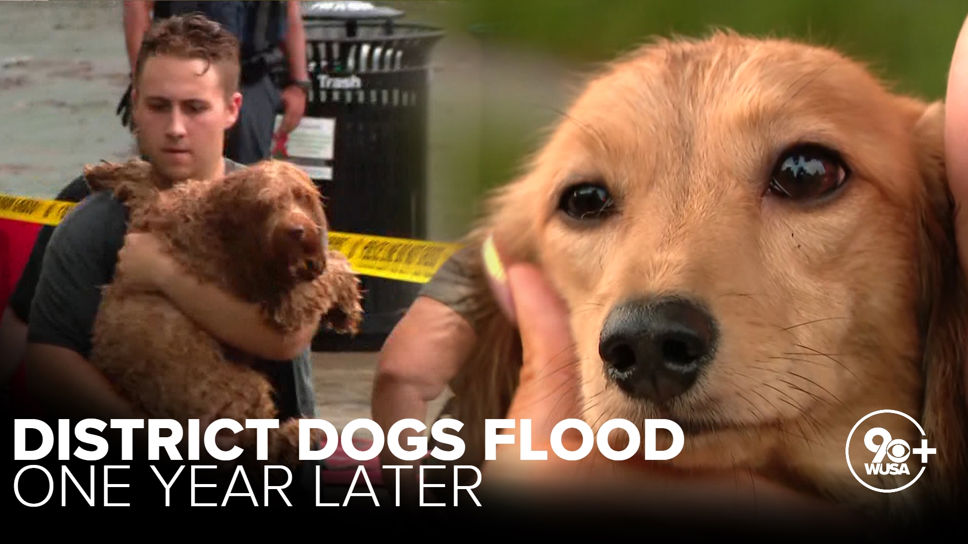 WUSA9 marks one year since a tragedy so many of us will never forget. The deadly District Dogs flood in Northeast DC.