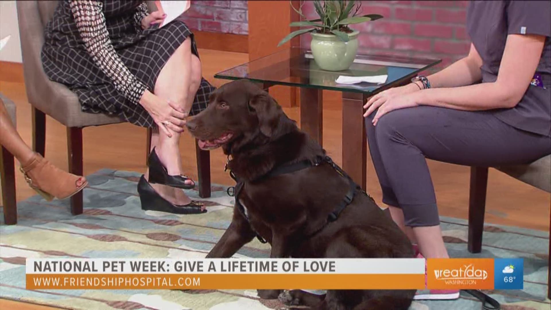 It's National Pet Week and this year's theme is "give them a lifetime of love".  Learn how to best care and love for your pet from Dr. Christine Klippen from Friendship Hospital for Animals. For more information go to www.FriendshipHospital.com.