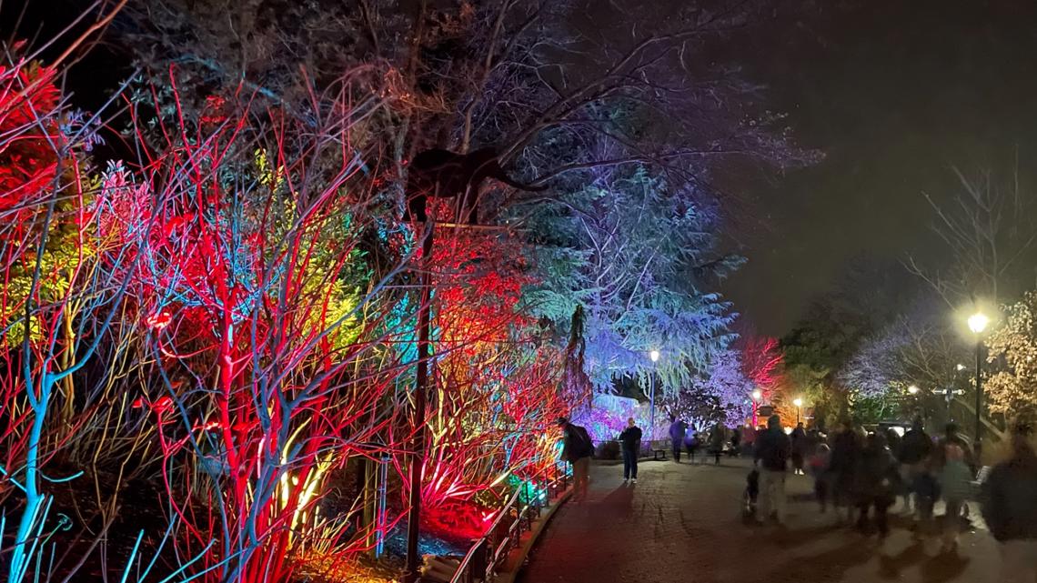ZooLights reopens at the National Zoo in DC