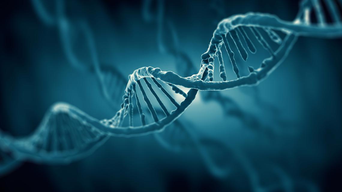 70 new jobs created by Fairfax Co. forensic lab expansion - Vimarsana News