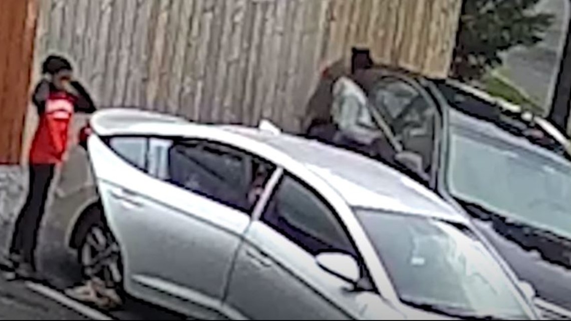 Publics Help Wanted In Identifying Dc Armed Carjacking Suspects