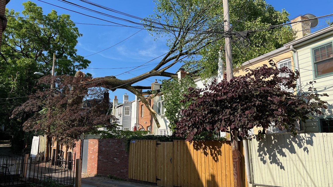 Tree falls on home in Northwest DC | wusa9.com