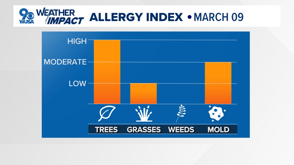 Get your tissues ready:  Tree pollen starting to ramp up in the DC area