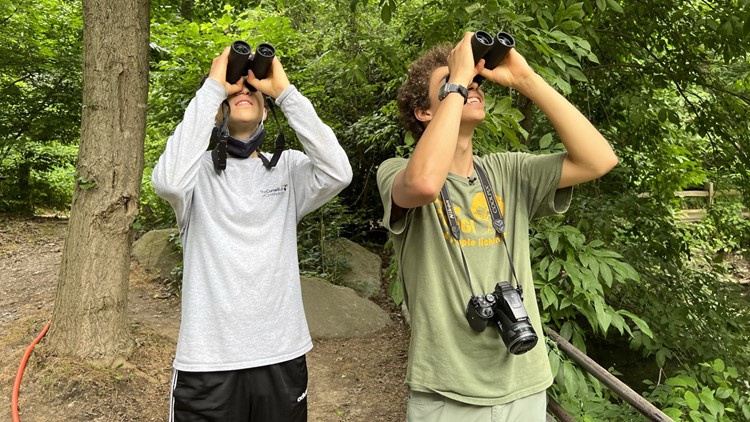 'Birding' high school brothers create field guide of Arlington County birds