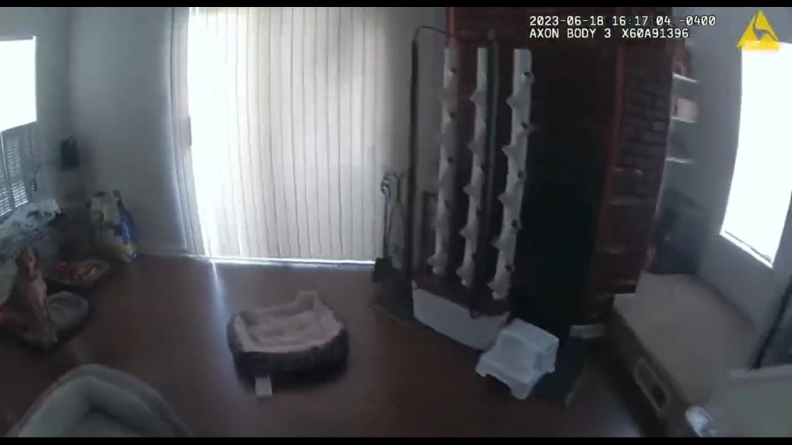 Fairfax Police rescue three dogs from burning building