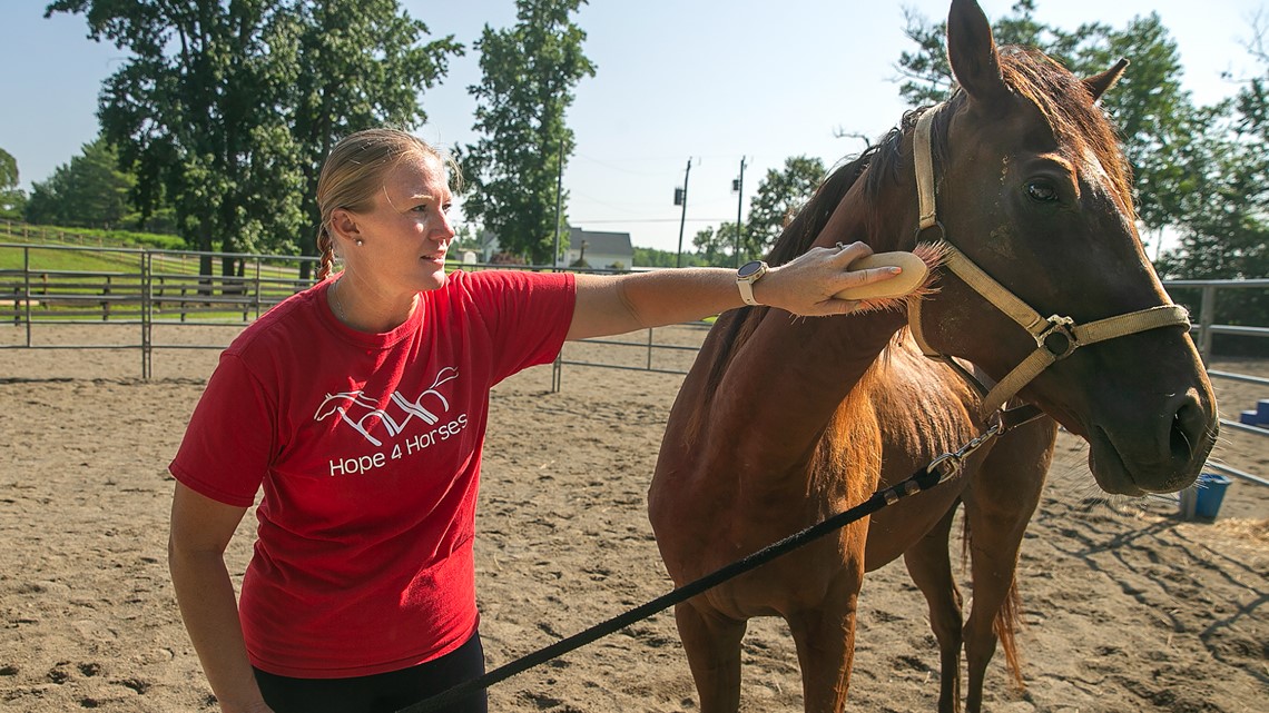 Loudoun County's annual 'Clear the Shelters' returns this weekend