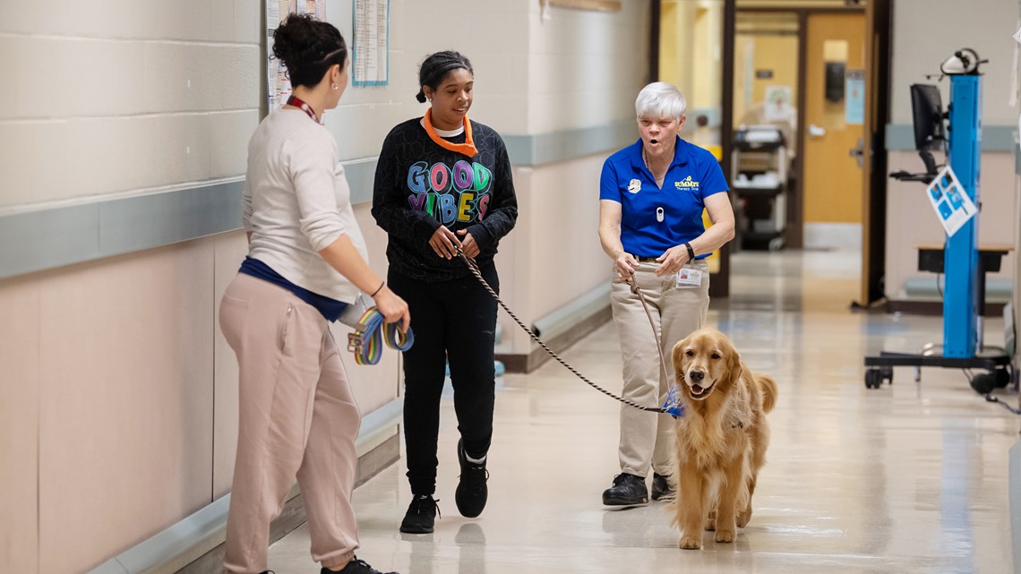 Dog helps kids with special needs in Fairfax County learn math | wusa9.com