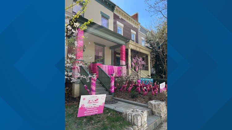 DC Residents Are Decking Out Their Porches for the National Cherry Blossom  Festival - Washingtonian