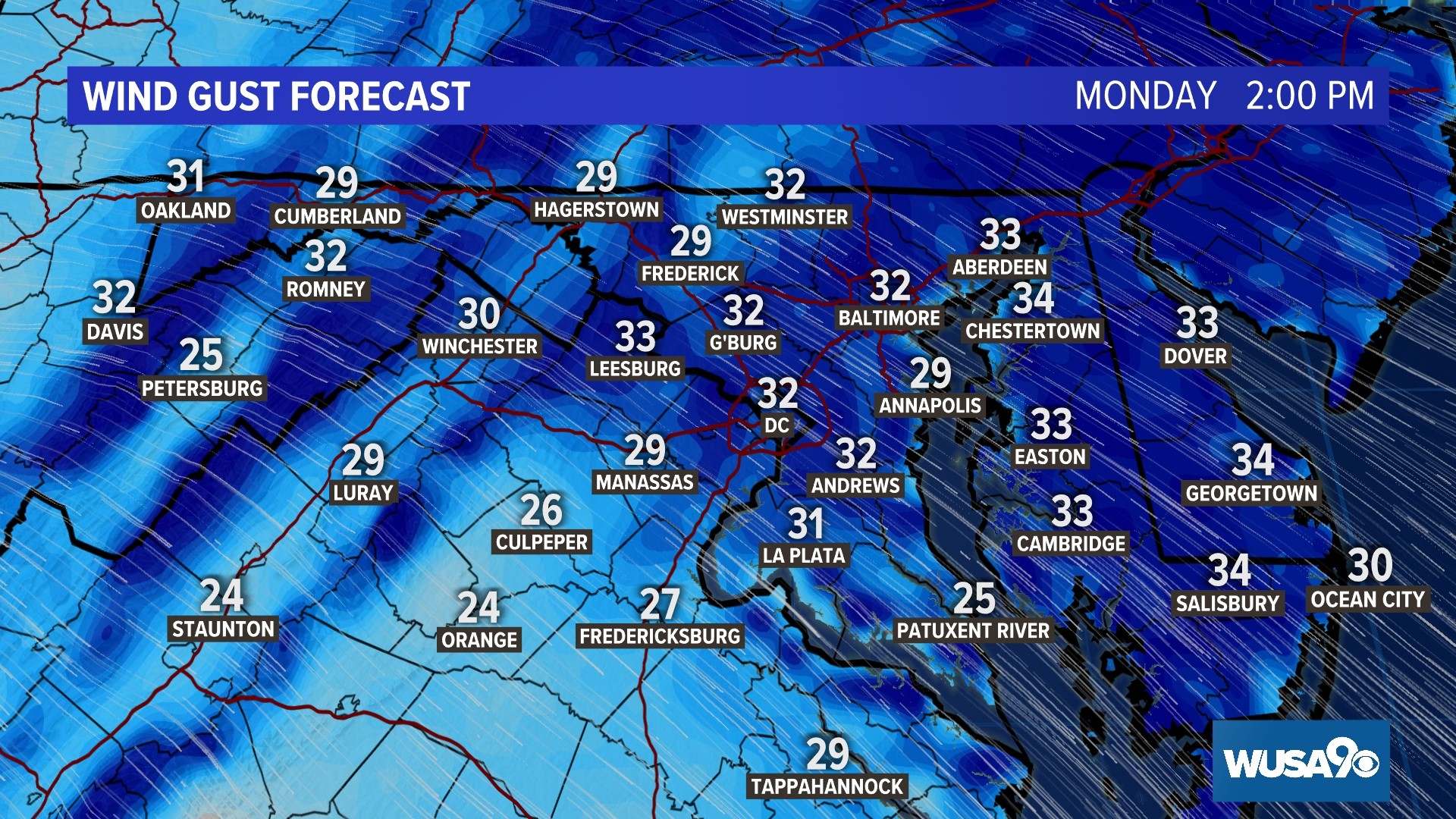 Dogs smell COVID19 with 94 accuracy in preliminary study