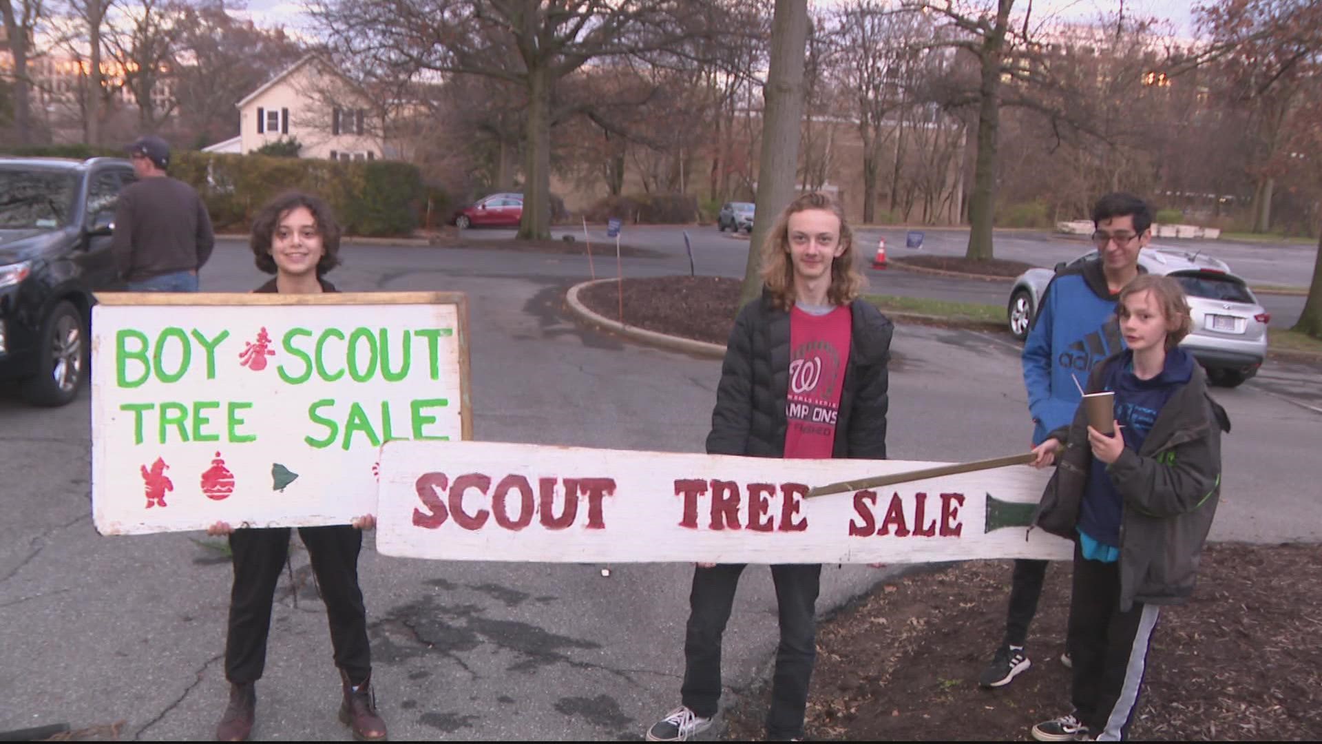 Scouts from Boy Scott Troop 666 and 1946 want to help residents to find the perfect Christmas Tree.