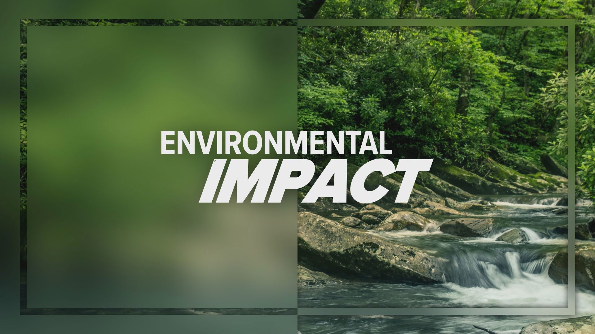 WUSA9 Environmental Reporter Scott Broom is committed to covering climate and environmental issues in the D.C. region.