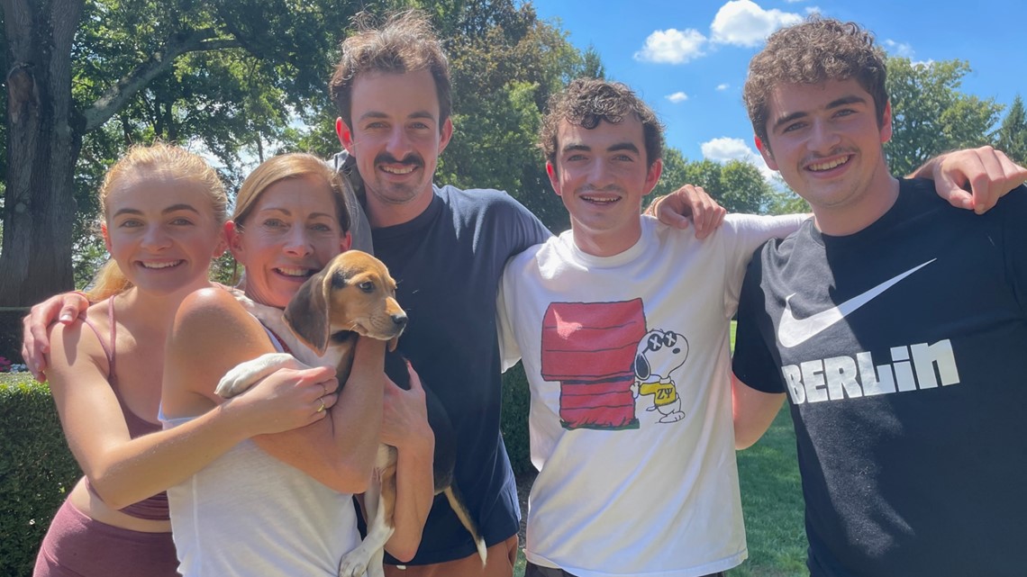 Puppy rescued from Virginia breeding facility adopted - Vimarsana News