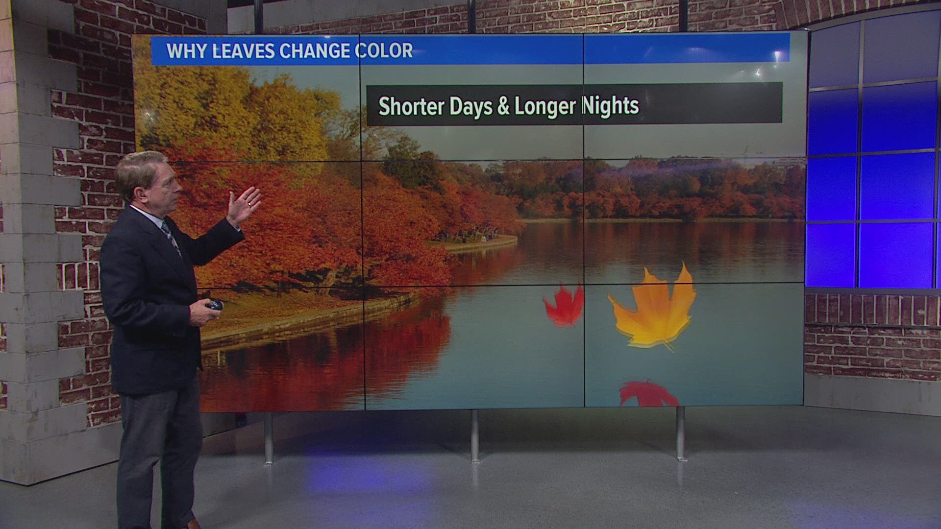 This year's fall foliage in DC metro could end up less vibrant because of a recent lack of rainfall.