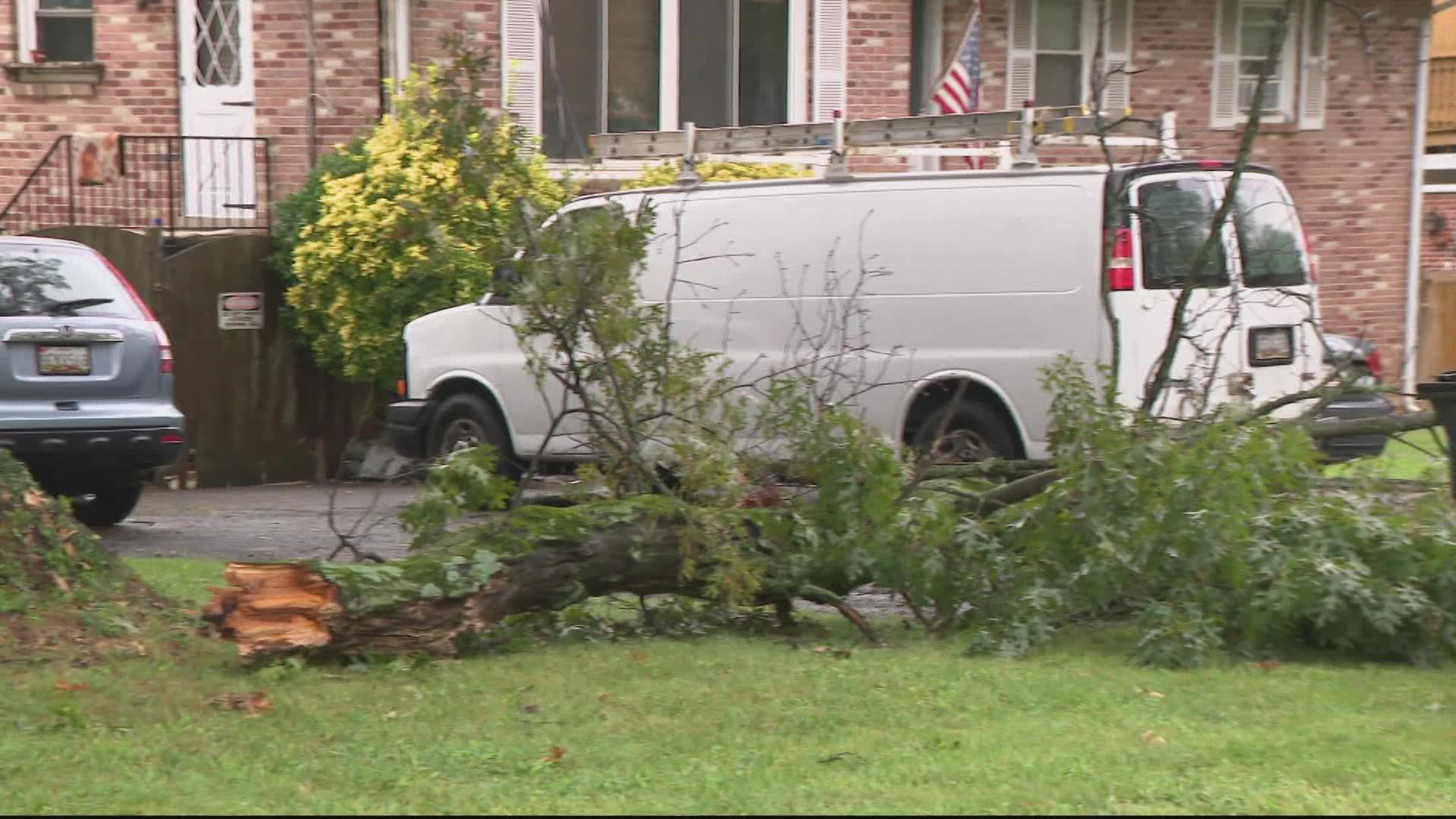 According to a Gaithersburg resident, the trees in the neighborhood are growing twice the rate from all the rain. No injuries were reported.