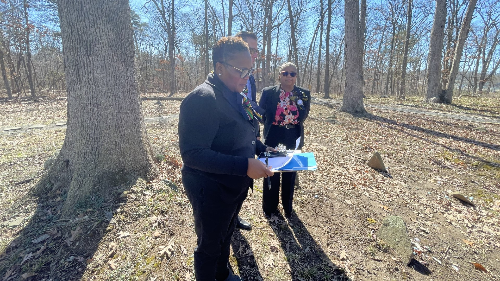 A debate over land and power lines in Loudoun County has Black leaders, developers and Dominion Energy.