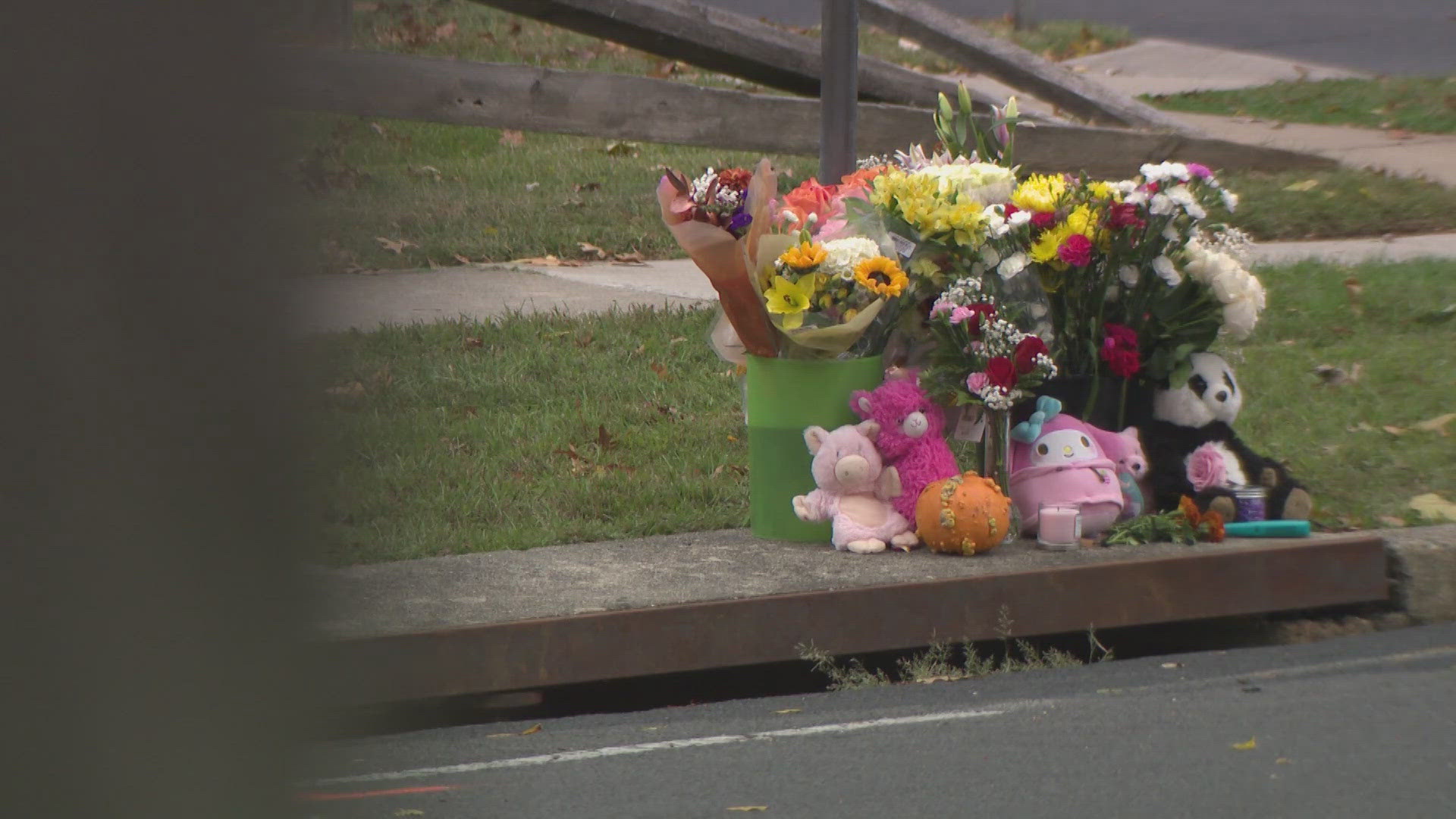 Child struck and killed by school bus driver identified