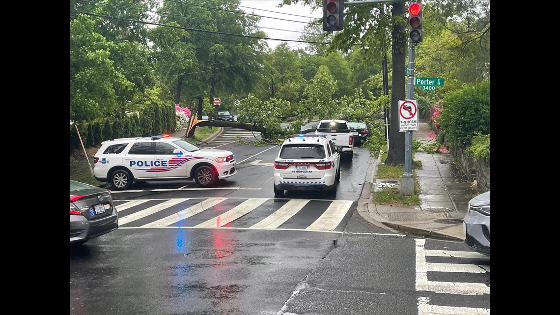 Damages from Friday's storms in the DMV | wusa9.com