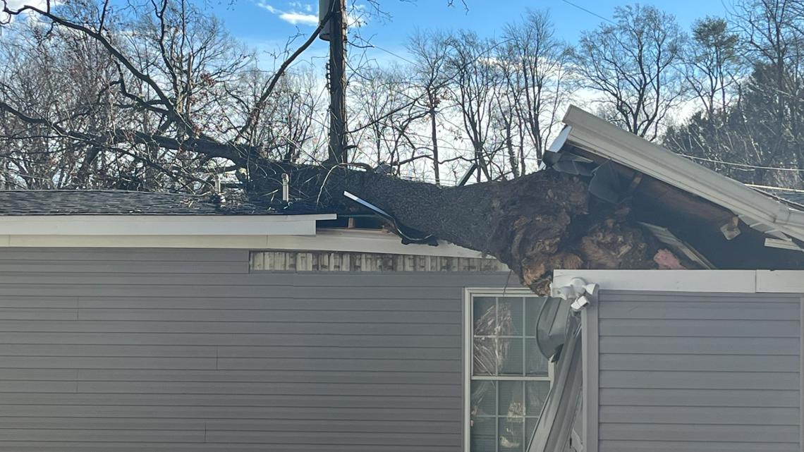 Downed tree damages trailer, displaces family in Germantown
