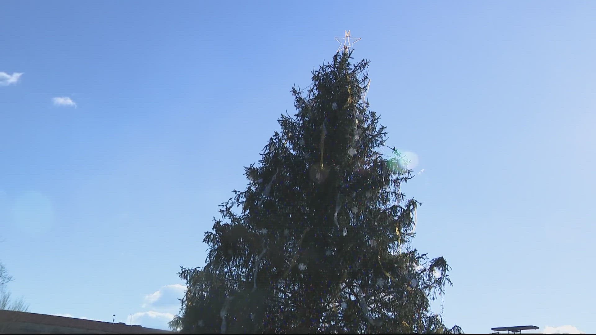 National Christmas Tree falls over with strong gust of wind