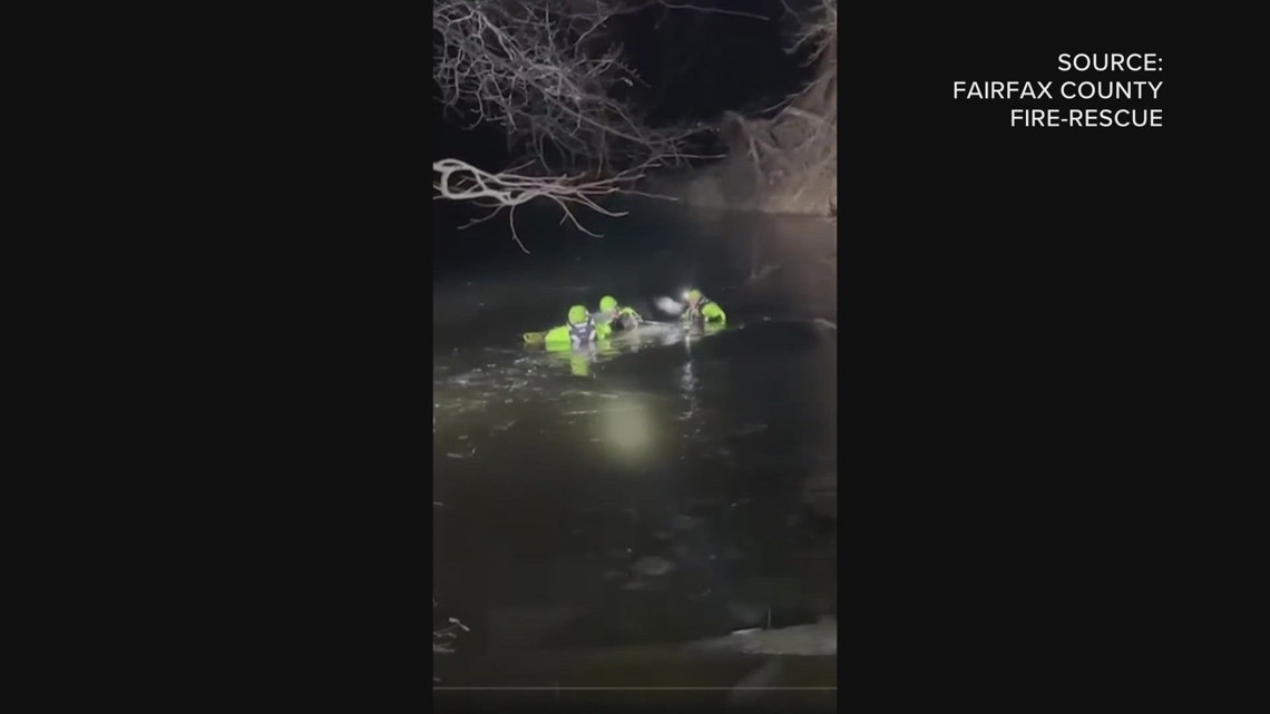 Dog rescued from frozen creek in Springfield | wusa9.com