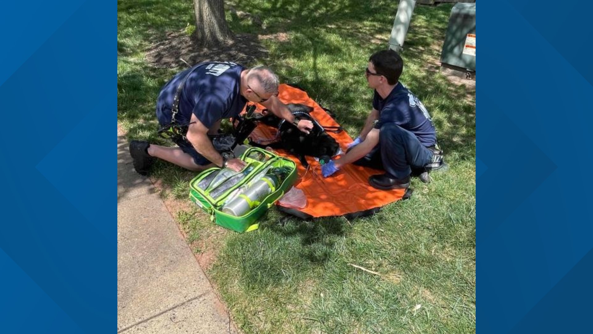 Dog rescued, residents displaced after DC house fire | wusa9.com