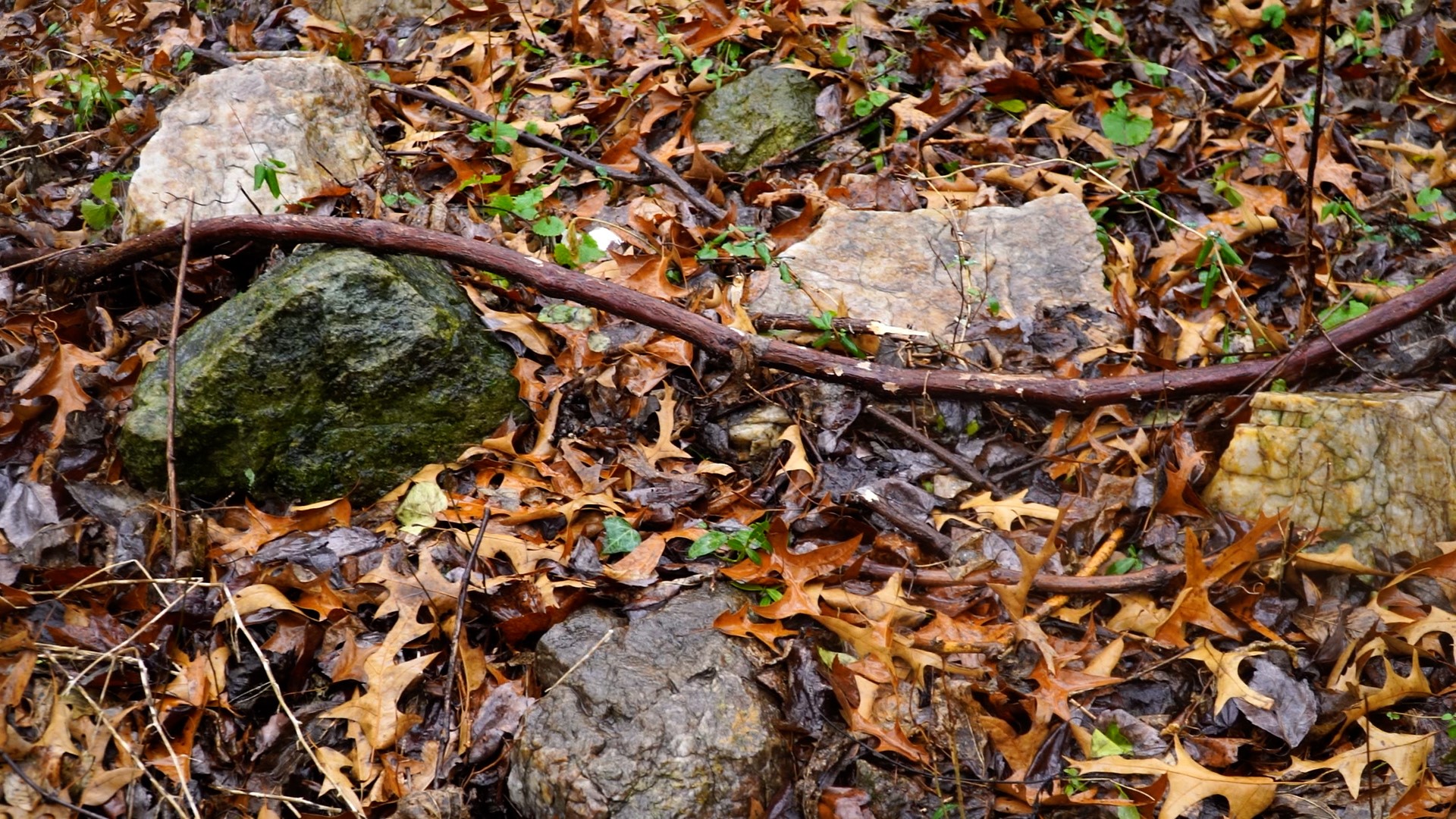 150yearold cemetery lies hidden off Piney Meetinghouse Road