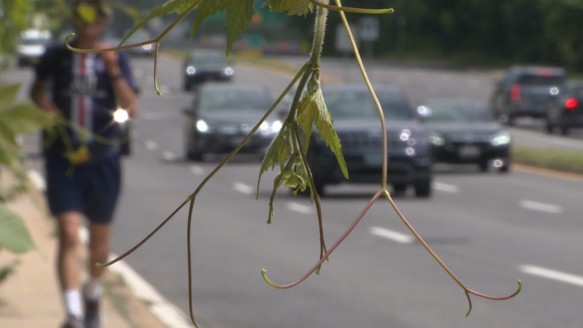 Demands to improve safety after teen bicyclist killed in Bethesda - Vimarsana News