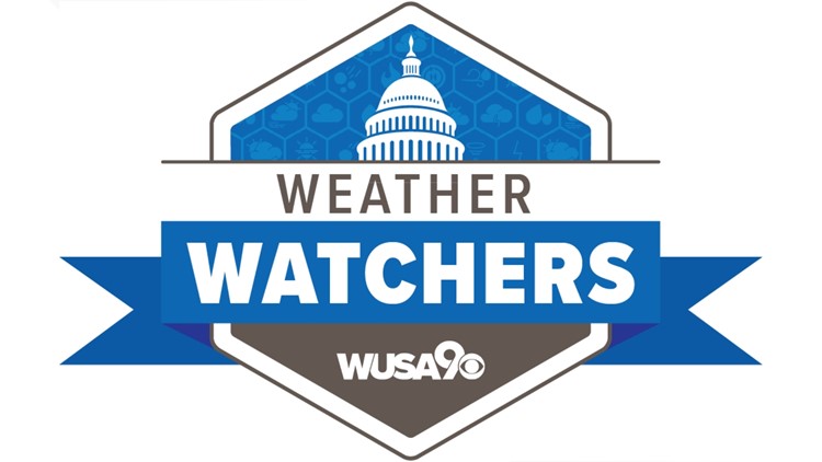 SIGN UP HERE: Love weather? We do too! Here's how to join WUSA9 Weather Watchers team