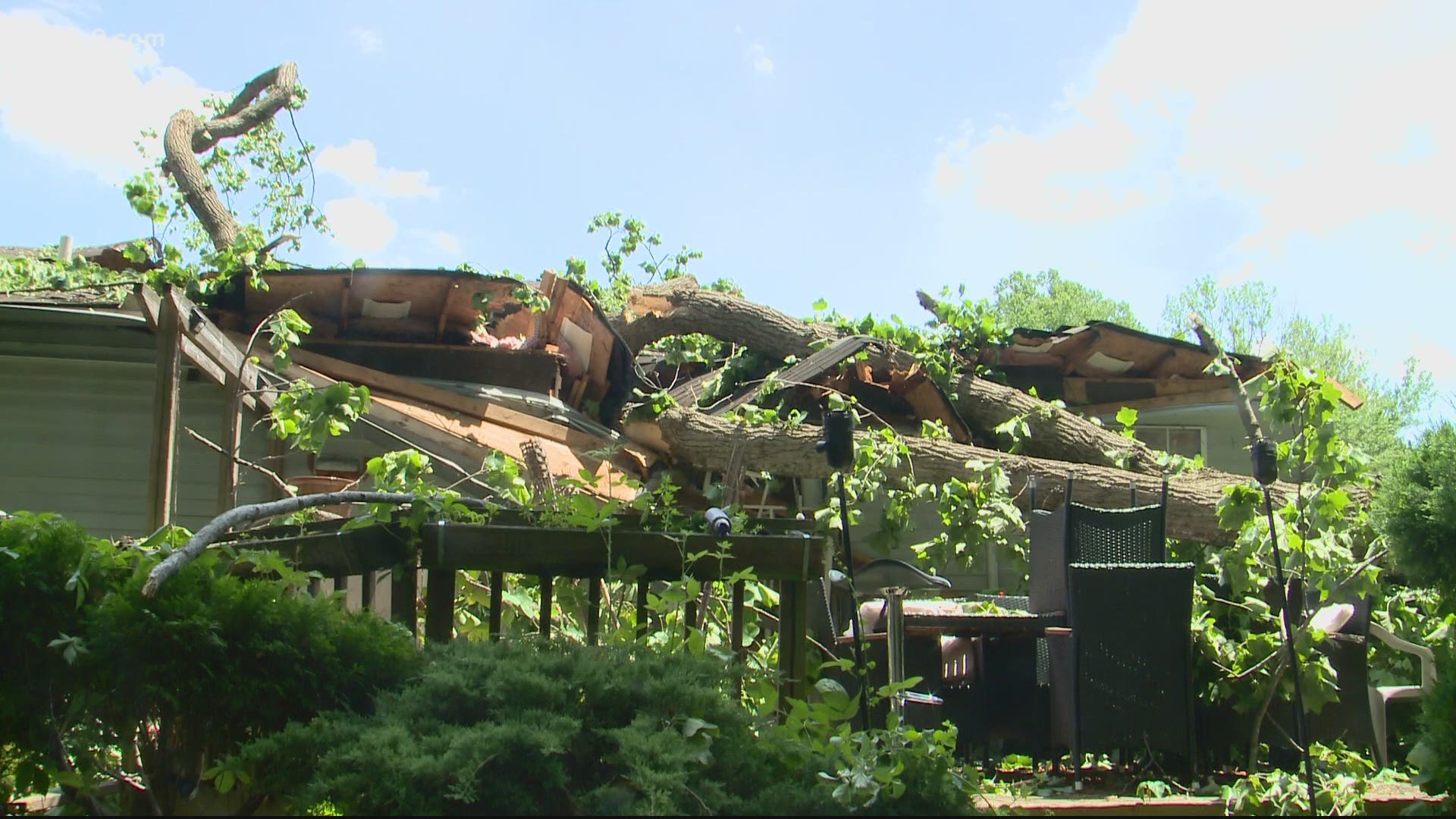 Families experienced extremely close calls after strong windows knocked down trees and poles.