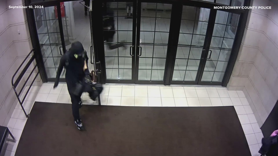 VIDEO 20+ suspects wanted for burglarizing Saks Fifth Avenue in Chevy