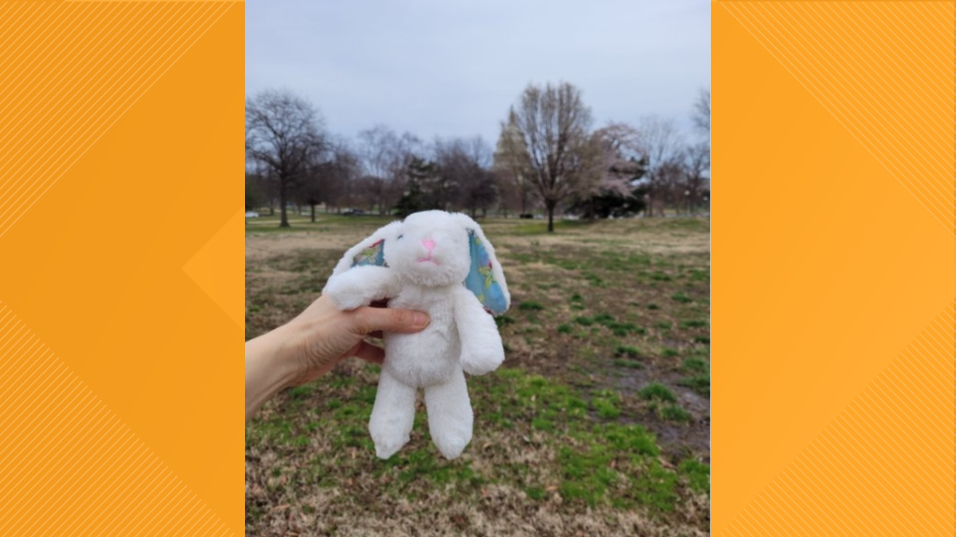 A woman who lives on Capitol Hill turned to social media to reunite the little bunny with their owner.