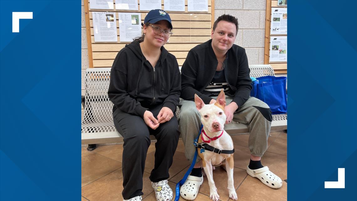 Fairfax County fire, police chiefs tie in dog adoption event