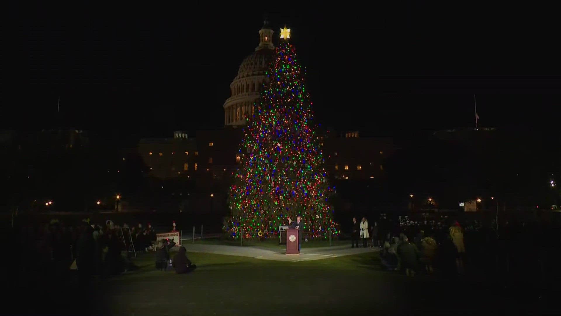 Lawmakers light up the Christmas tree on Capitol Hill.