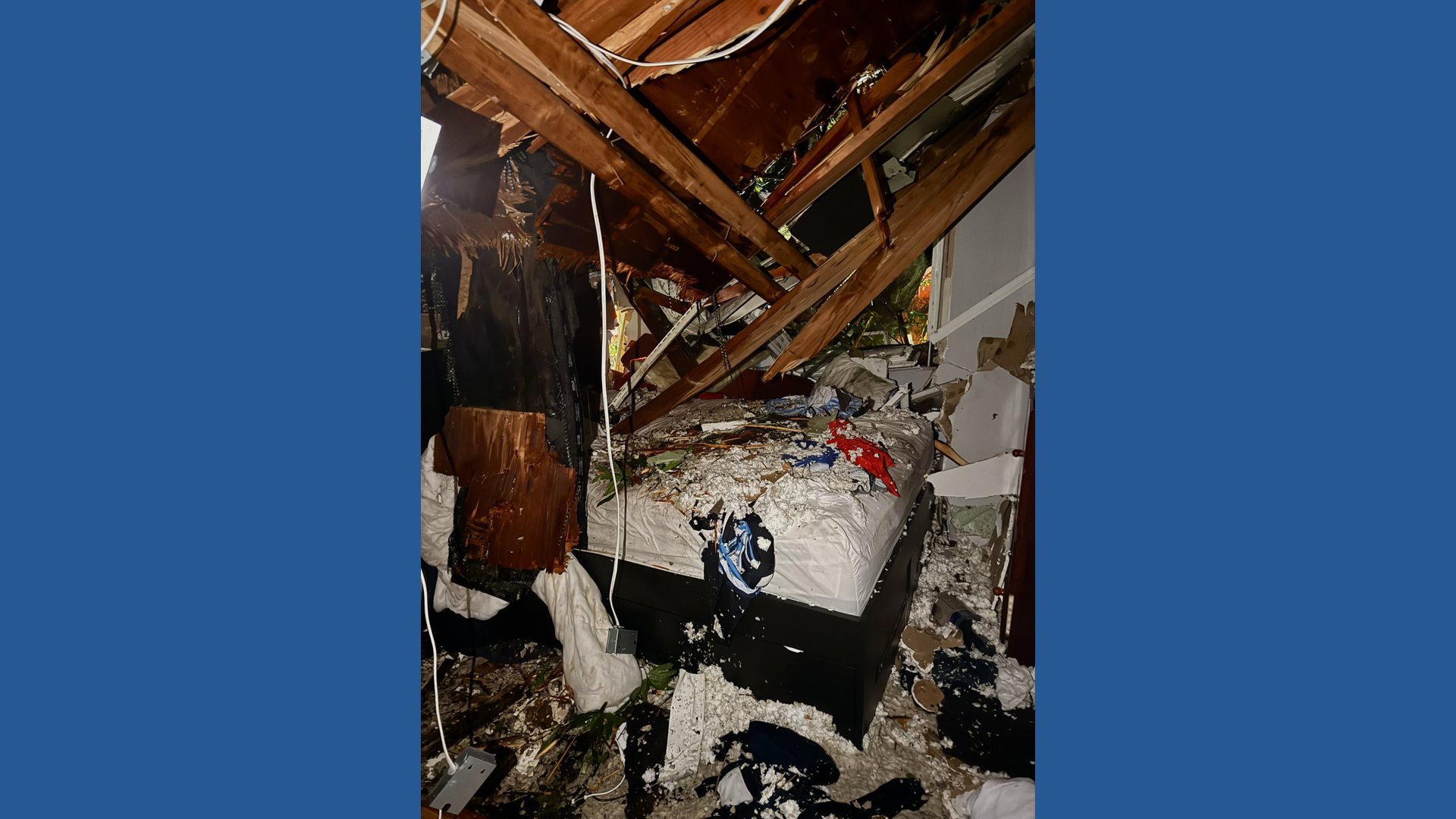 Downed tree on your house? Here's what to know