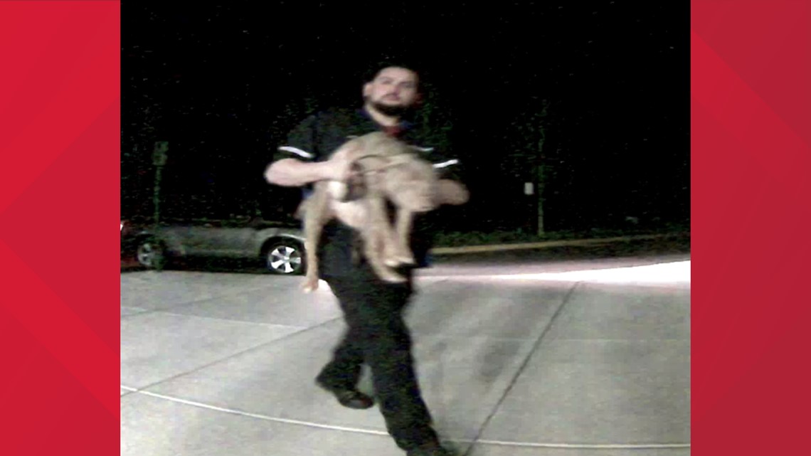 Dog left tied to the front door of a shelter in Prince William | wusa9.com