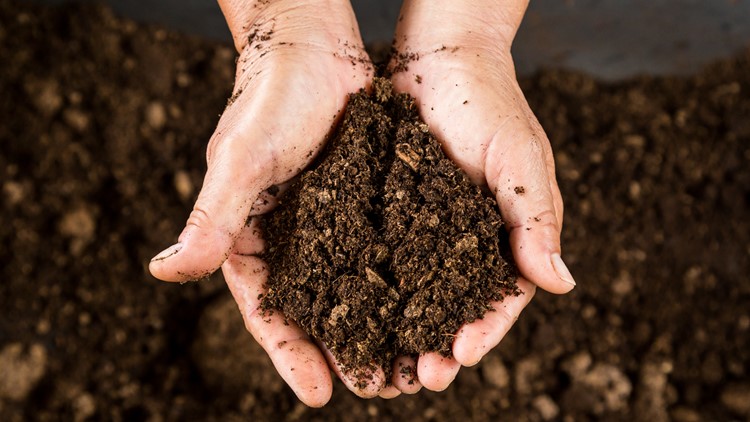 Here's how to sign up for curbside composting in Alexandria