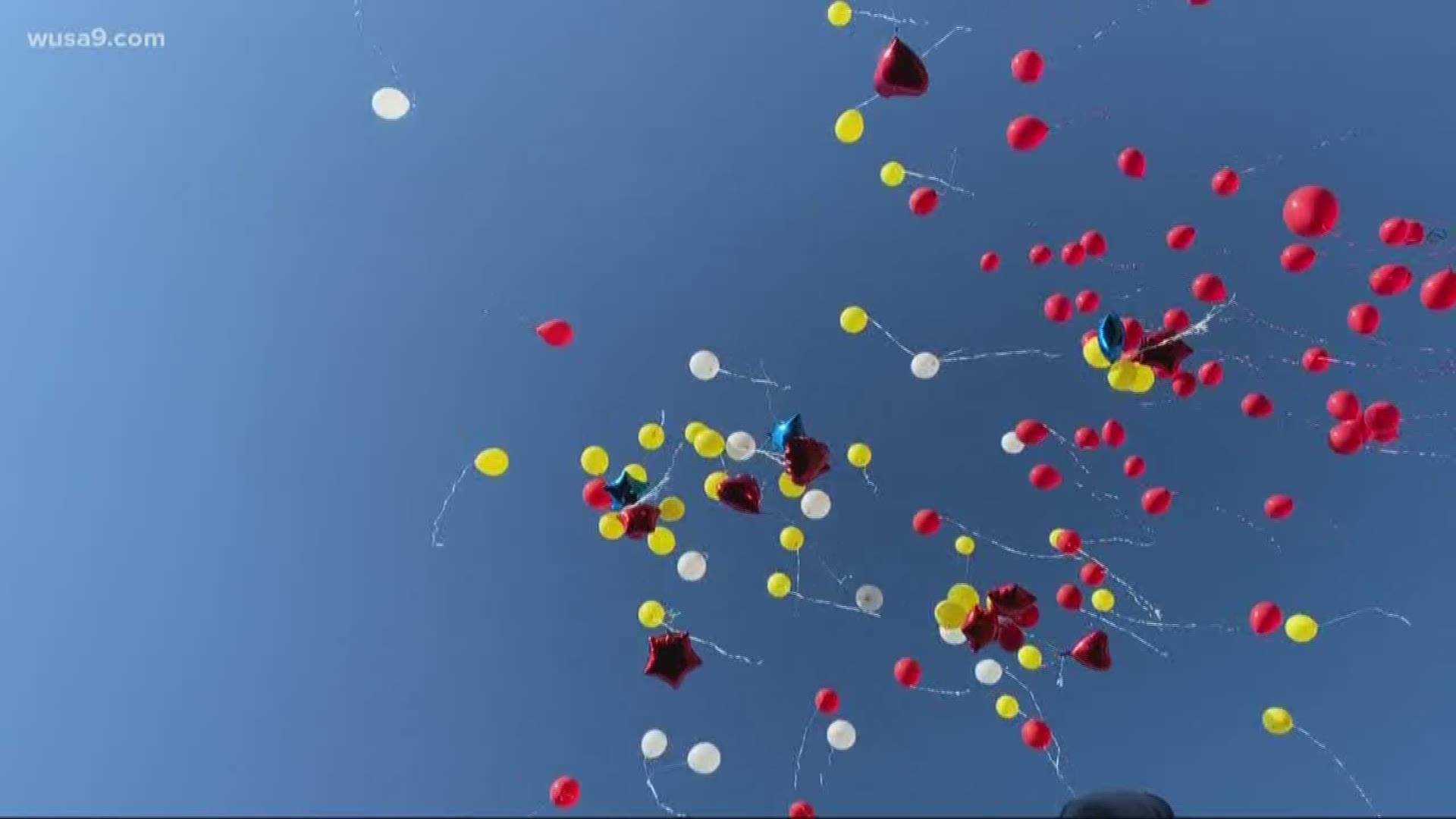 Lawmakers in one Maryland county want the practice of intentionally releasing balloons into the atmosphere to float away...for good.