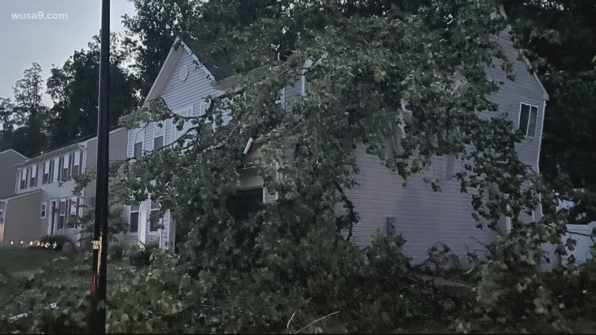 Severe weather caused trees and power lines to fall to the ground while thousands were left without power.