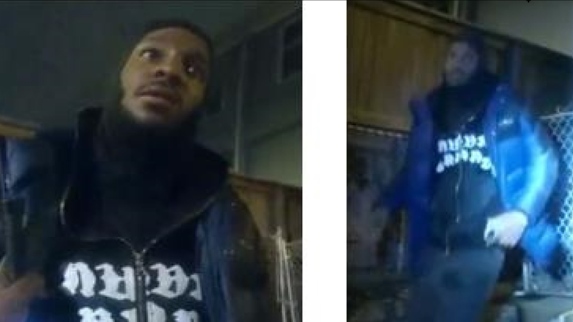 DC police looking for man accused of stealing dog at gunpoint | wusa9.com