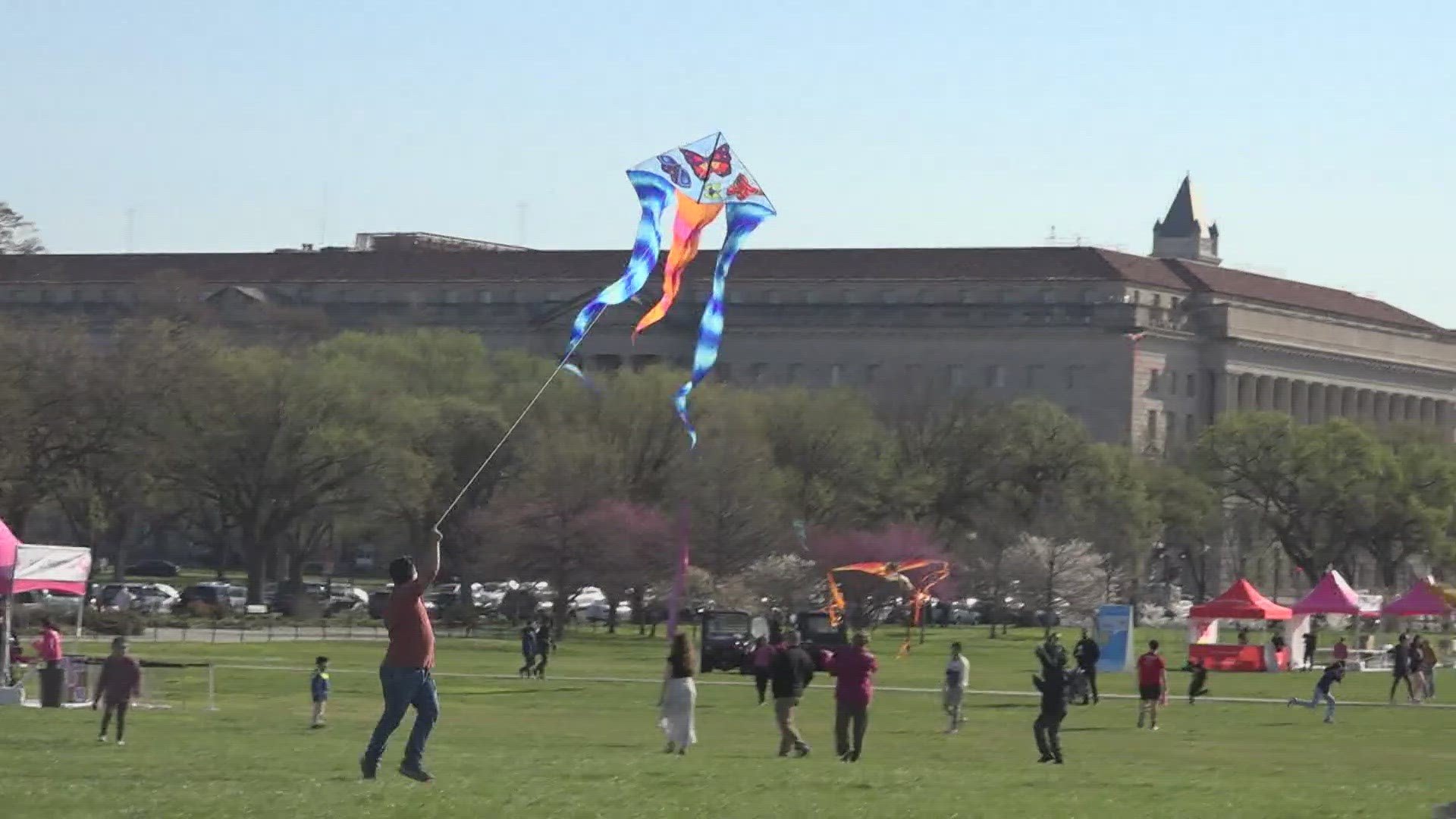 Kite enthusiasts gather at the National Mall in DC for 2024 Blossom