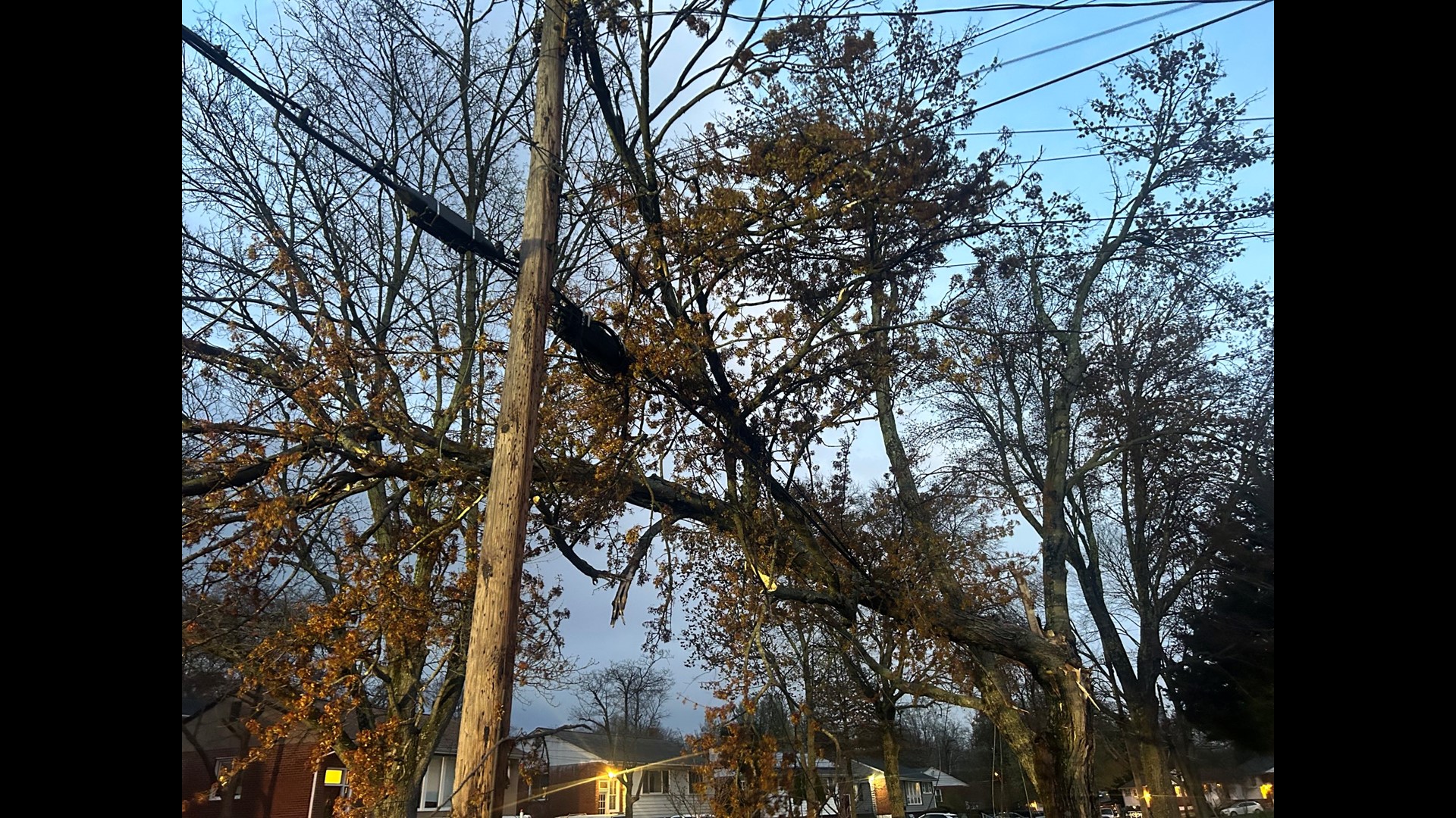 Strong winds in DC could mean downed trees, power lines | wusa9.com