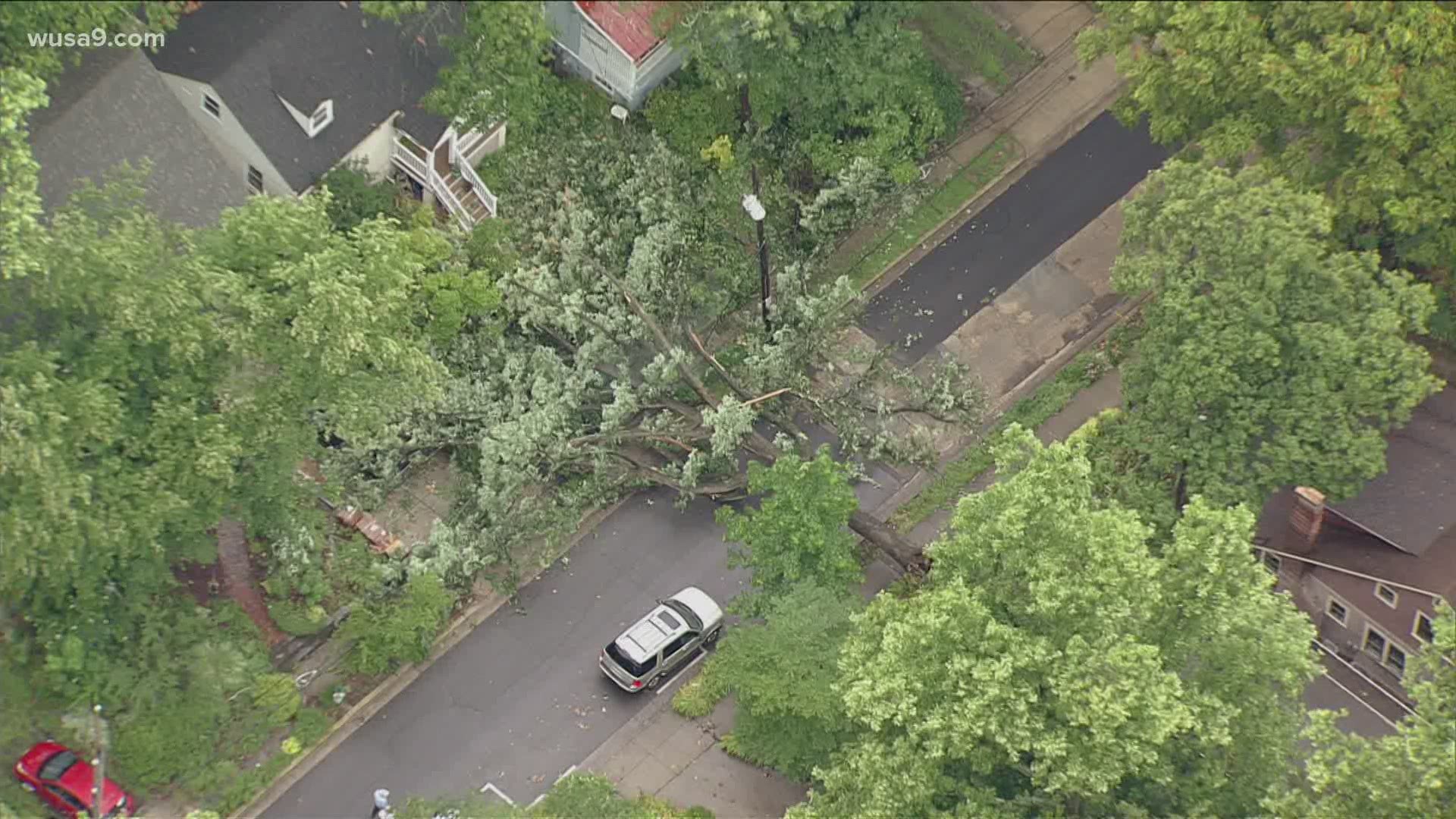 Thursday morning, a large tree came down and power lines are down causing a house fire in the area of Sherman Avenue and Maple Avenue in Takoma Park.
