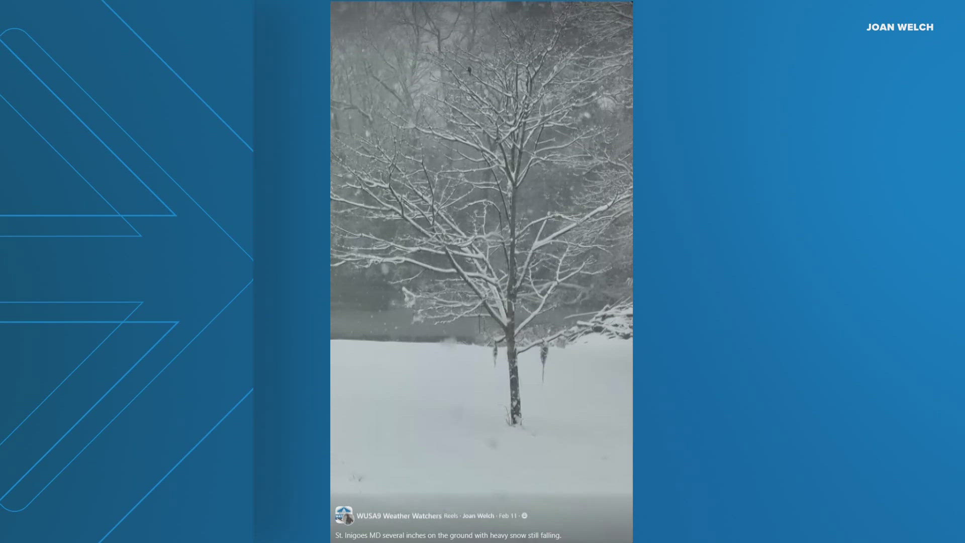 PHOTOS: A look at the snow across DC, Maryland and Virginia | wusa9.com